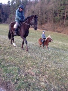 Heidi und Simone, Flocke und Luzi