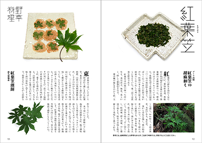 紅葉笠