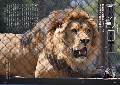 百獣の王
