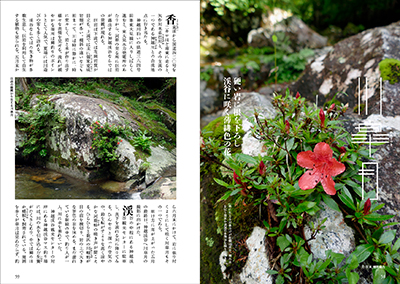 川皐月