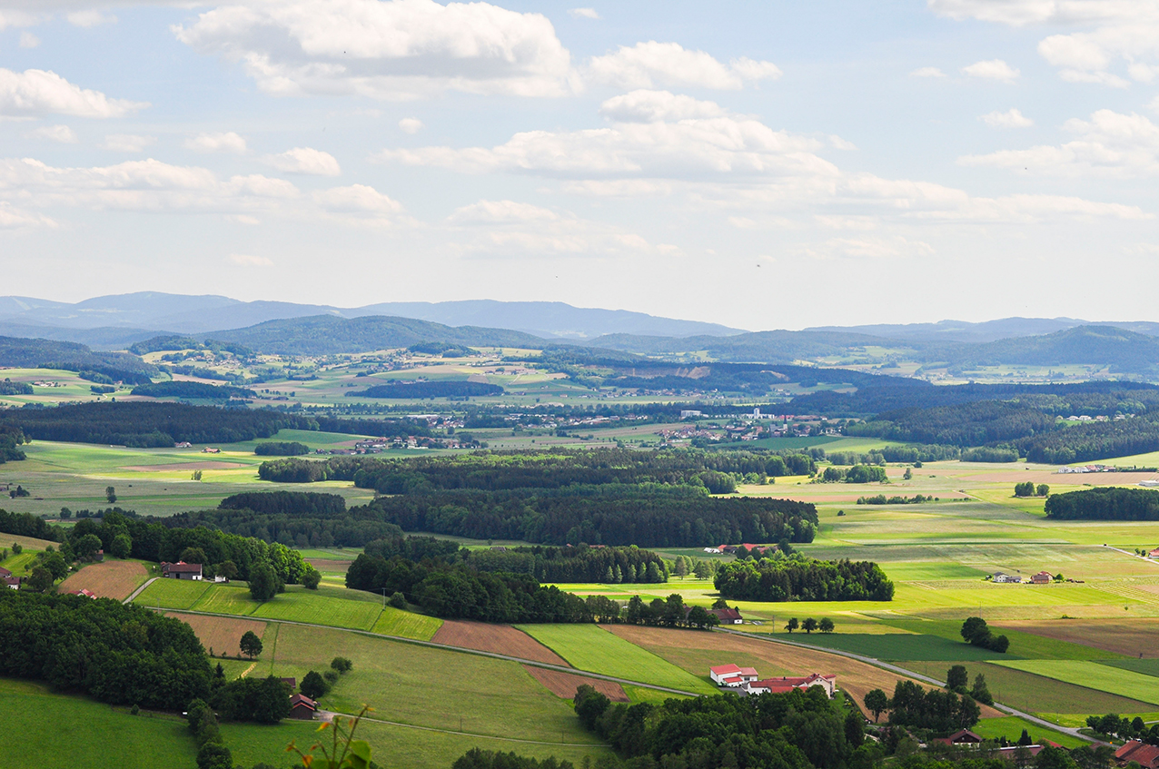 Der Burgstall bei Gleißenberg!