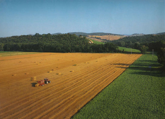Fiatagri 1990