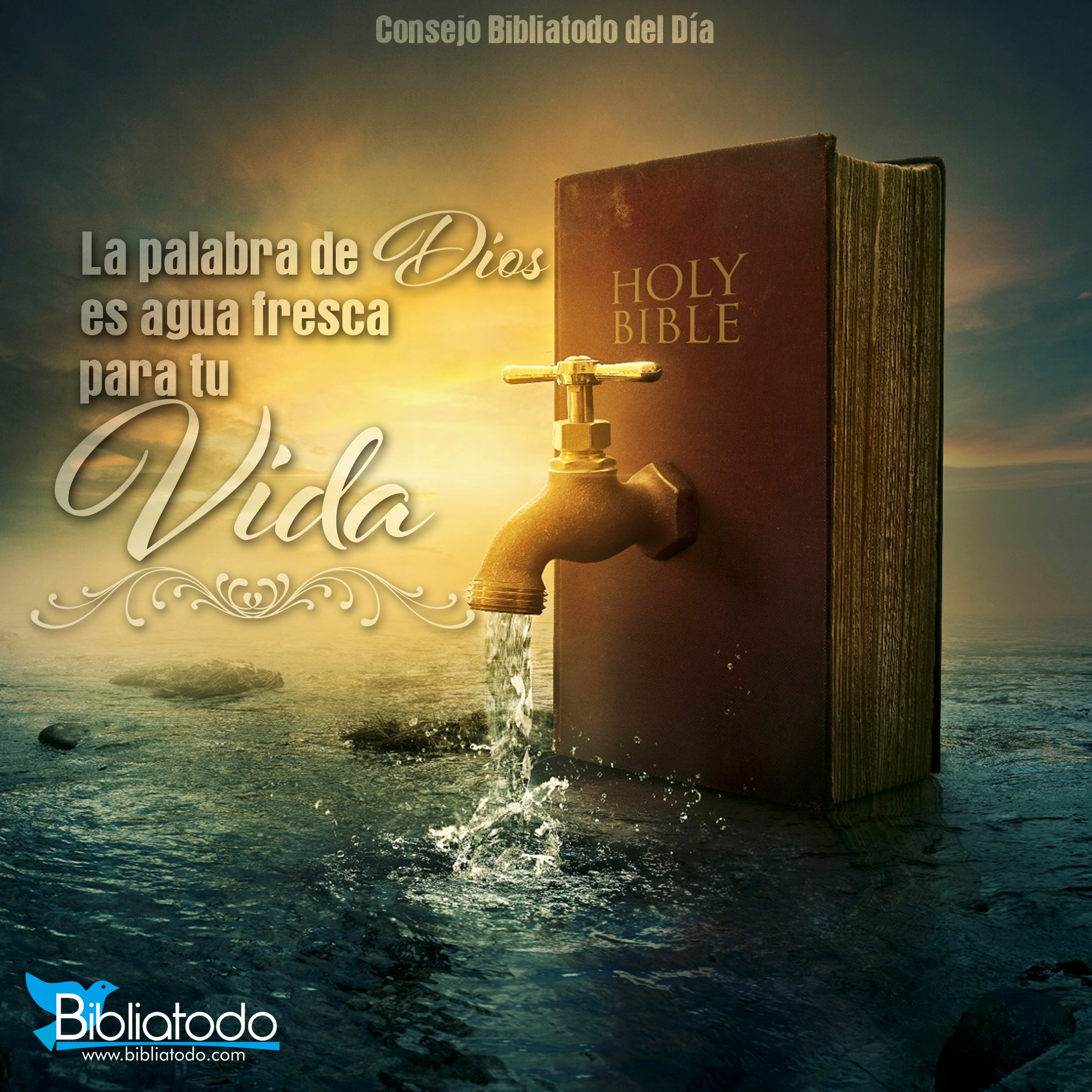 Jesus Es Dios Toda La Biblia Lo Proclama Página Web De