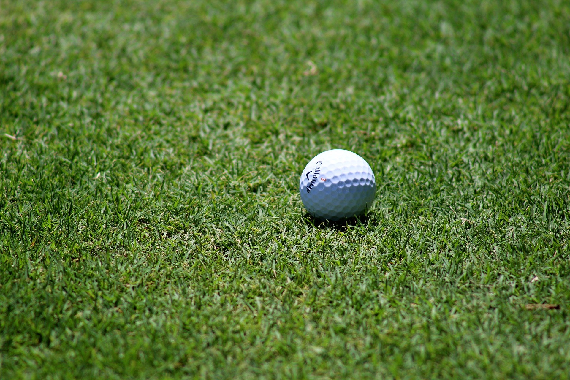 20. NCL Golf-Trophy in Adendorf am 28. Juni 2026; 13. Eagles Krimi-Cup in Münster am 31. August /1. September 2025