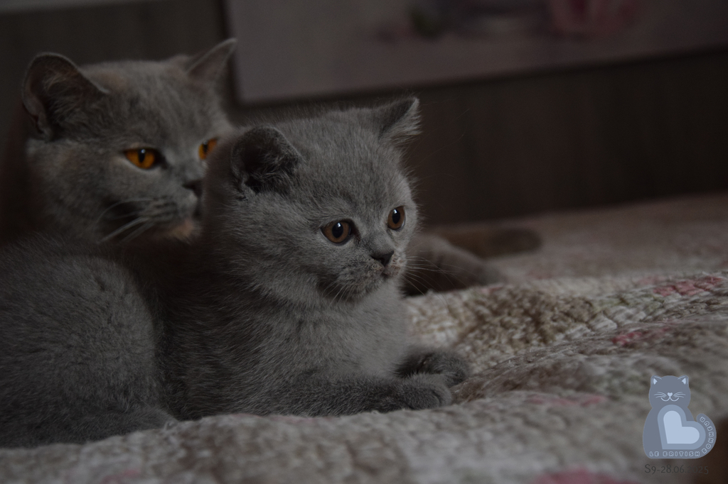 2 mois