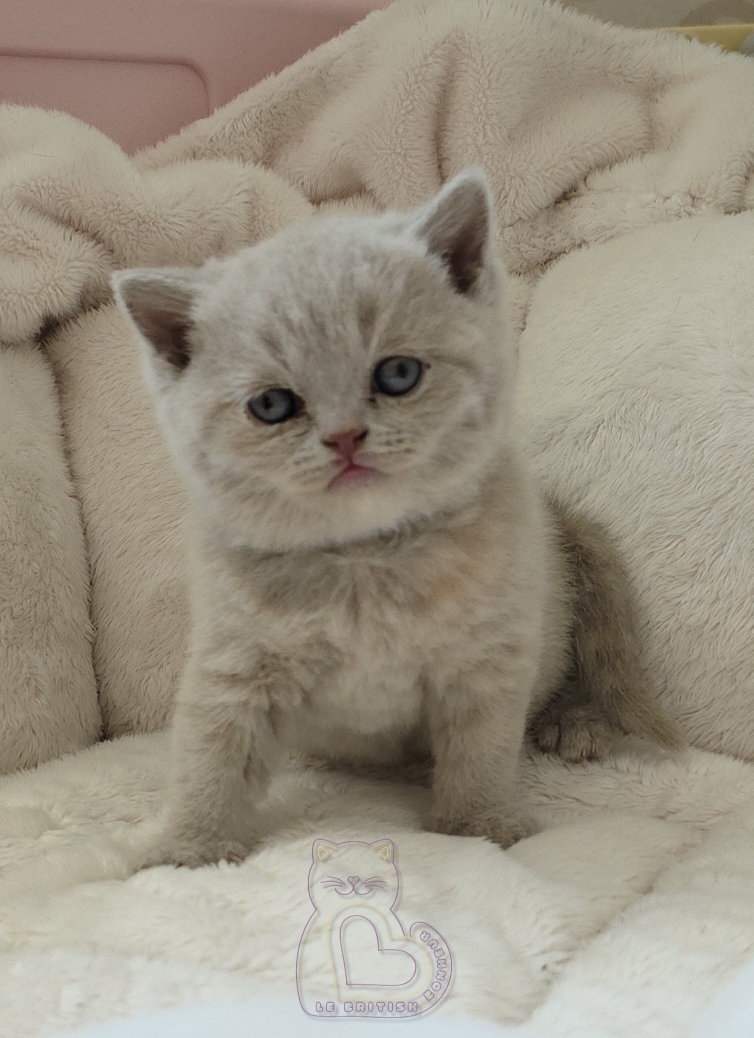 1 mois