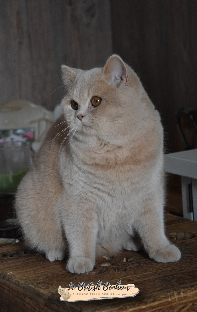 9 mois