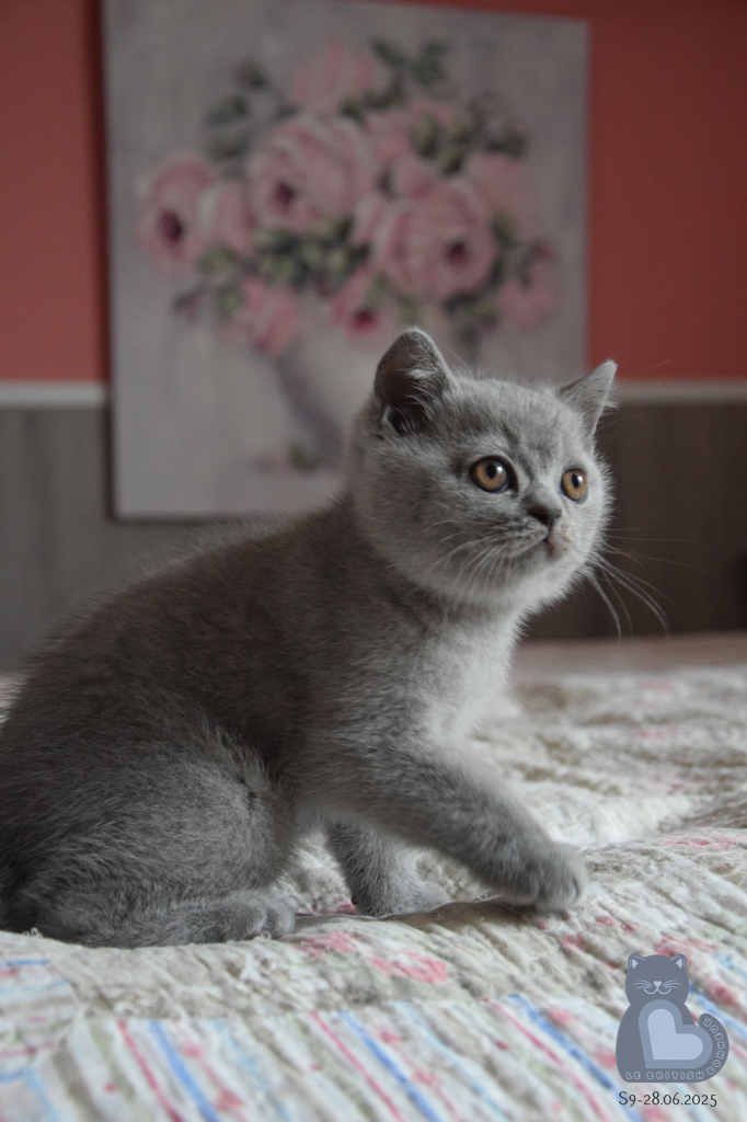 2 mois