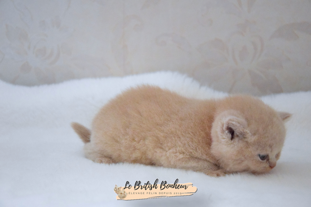 1 mois