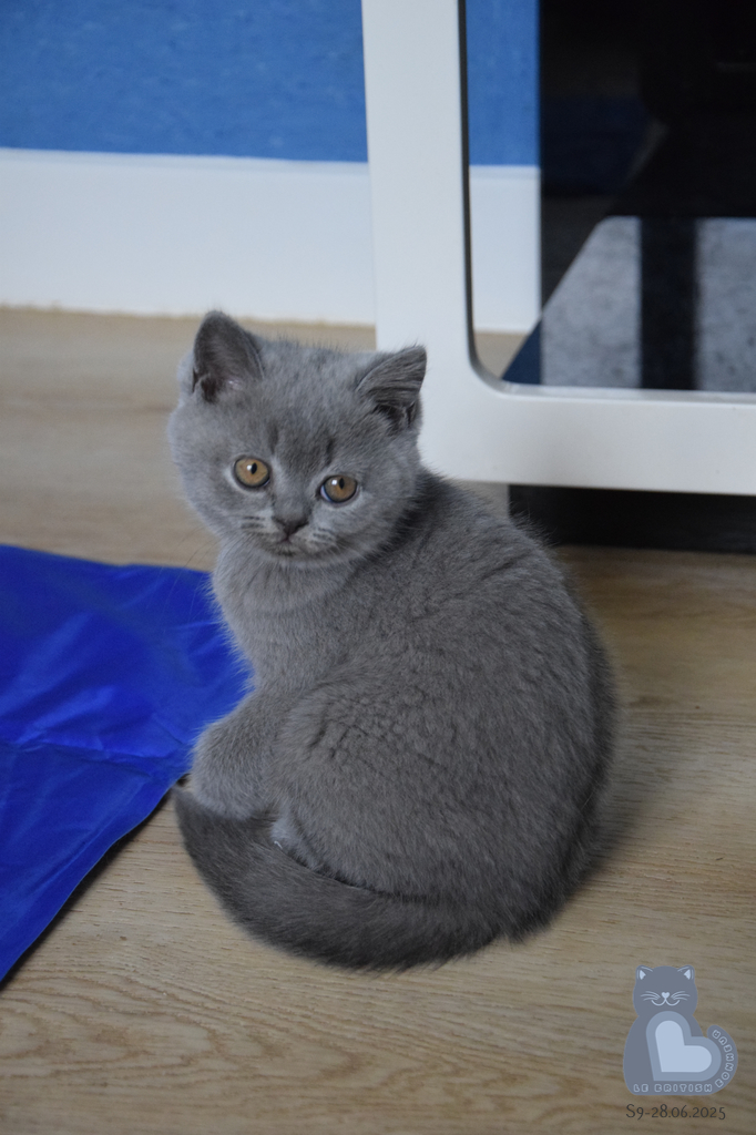2 mois