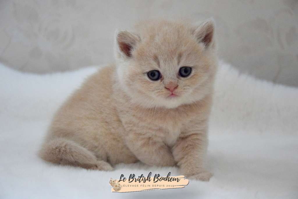 1 mois