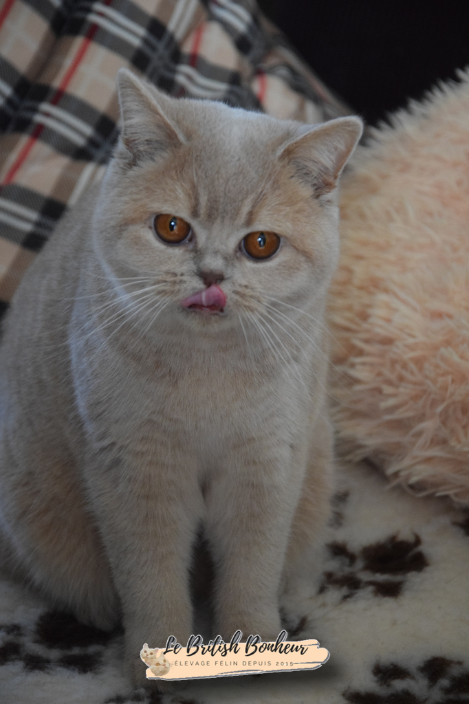 10 mois