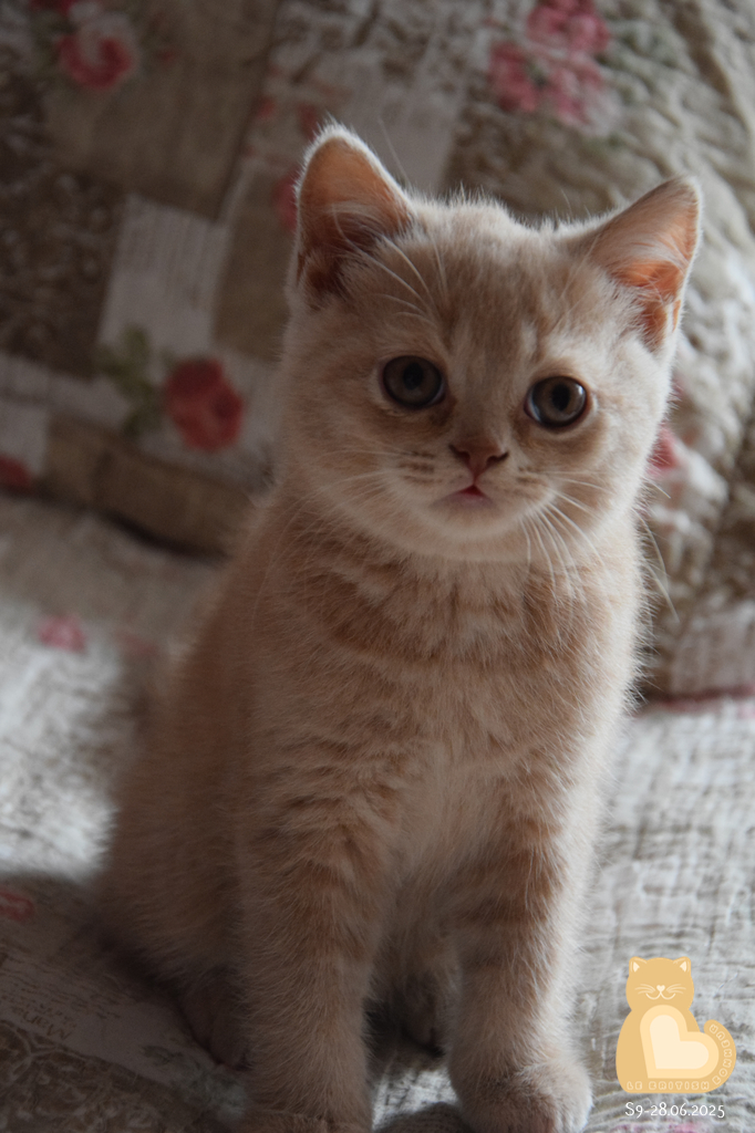2 mois