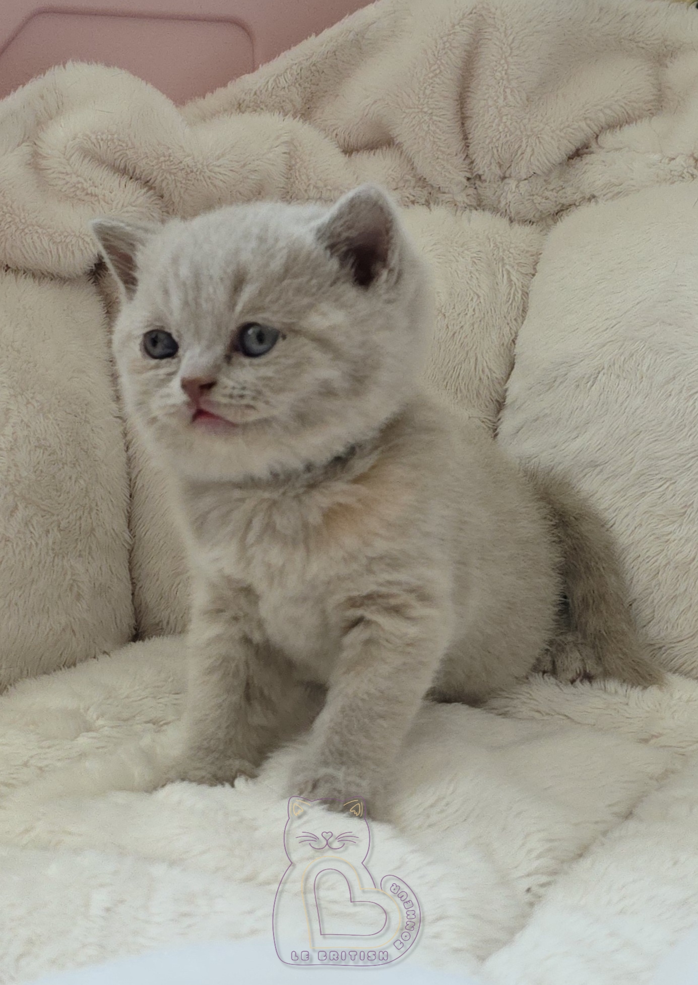 1 mois