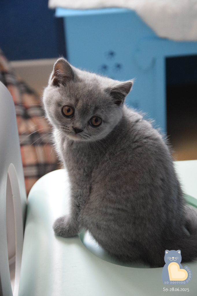 2 mois