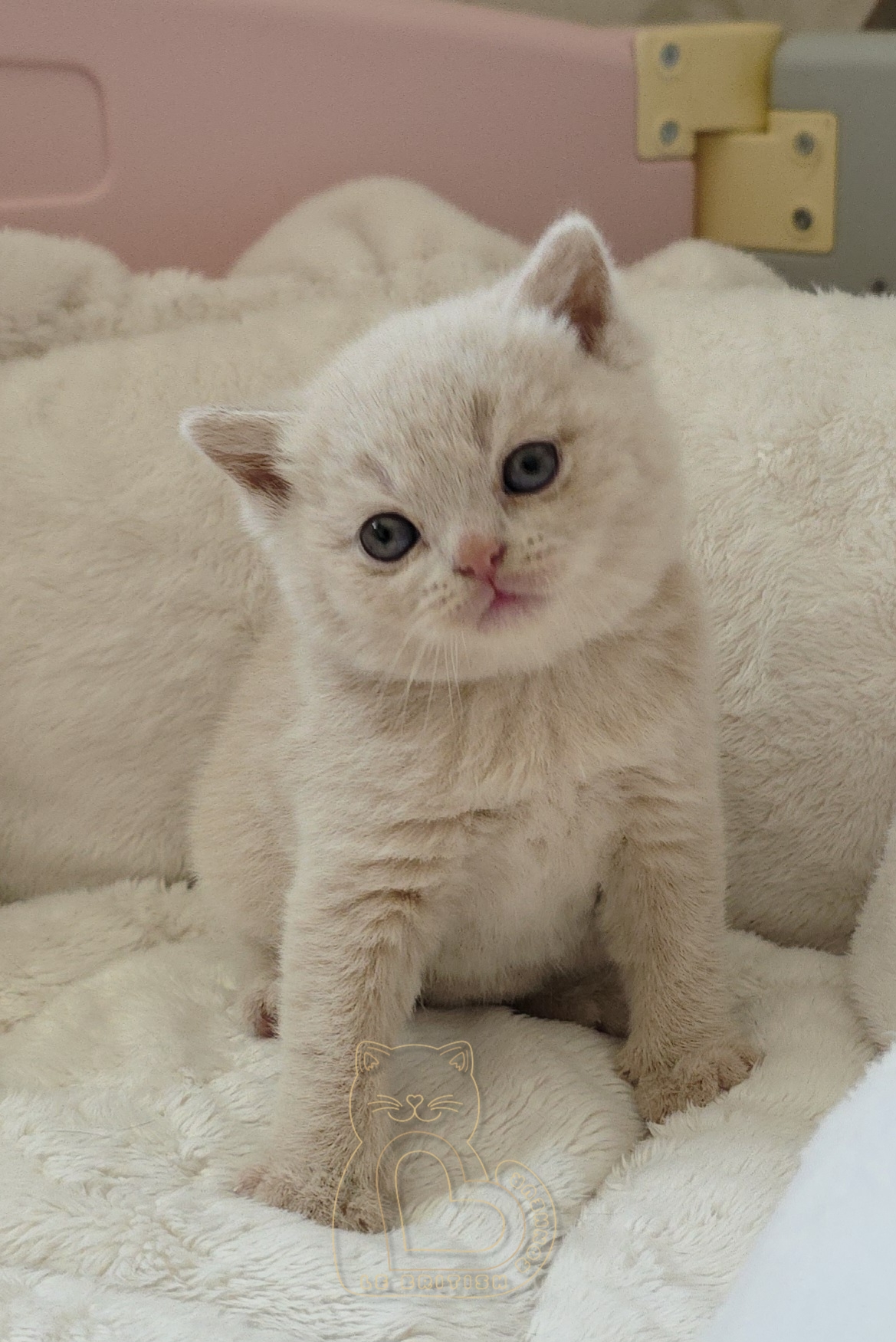 1 mois