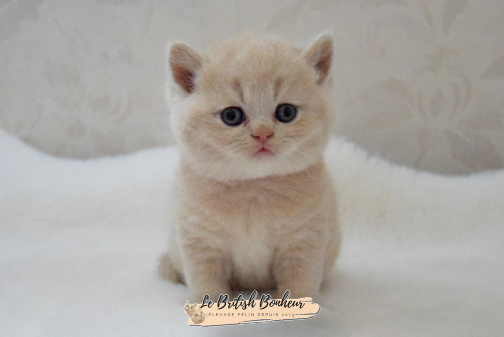 1 mois