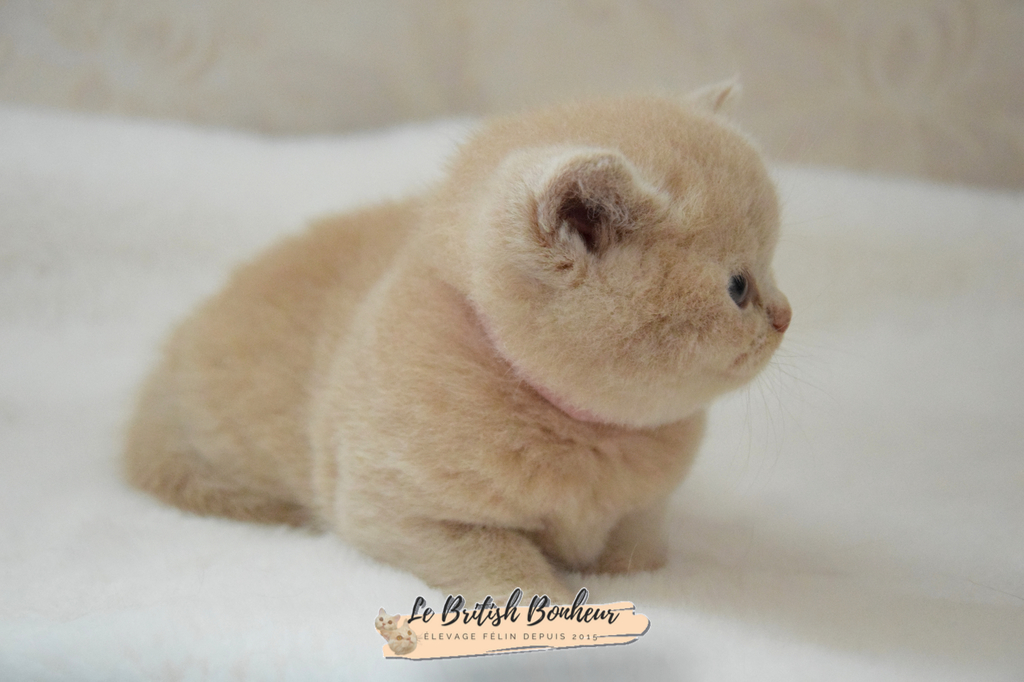 1 mois