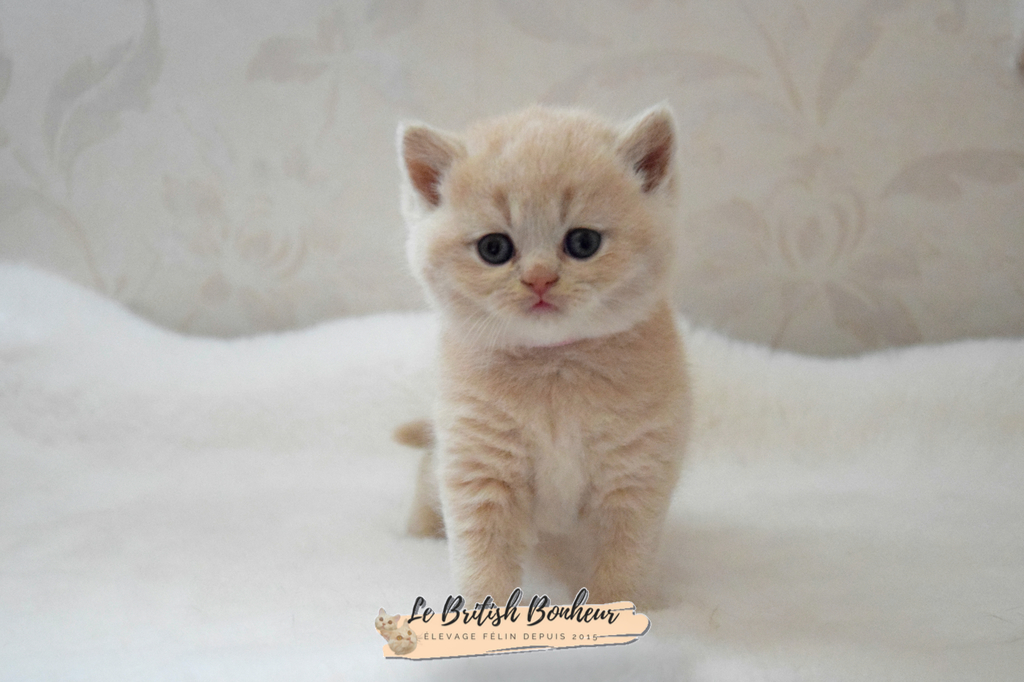 1 mois