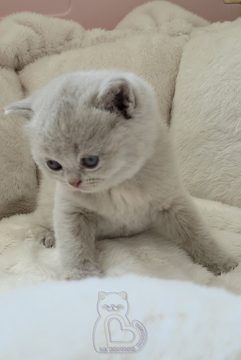 1 mois