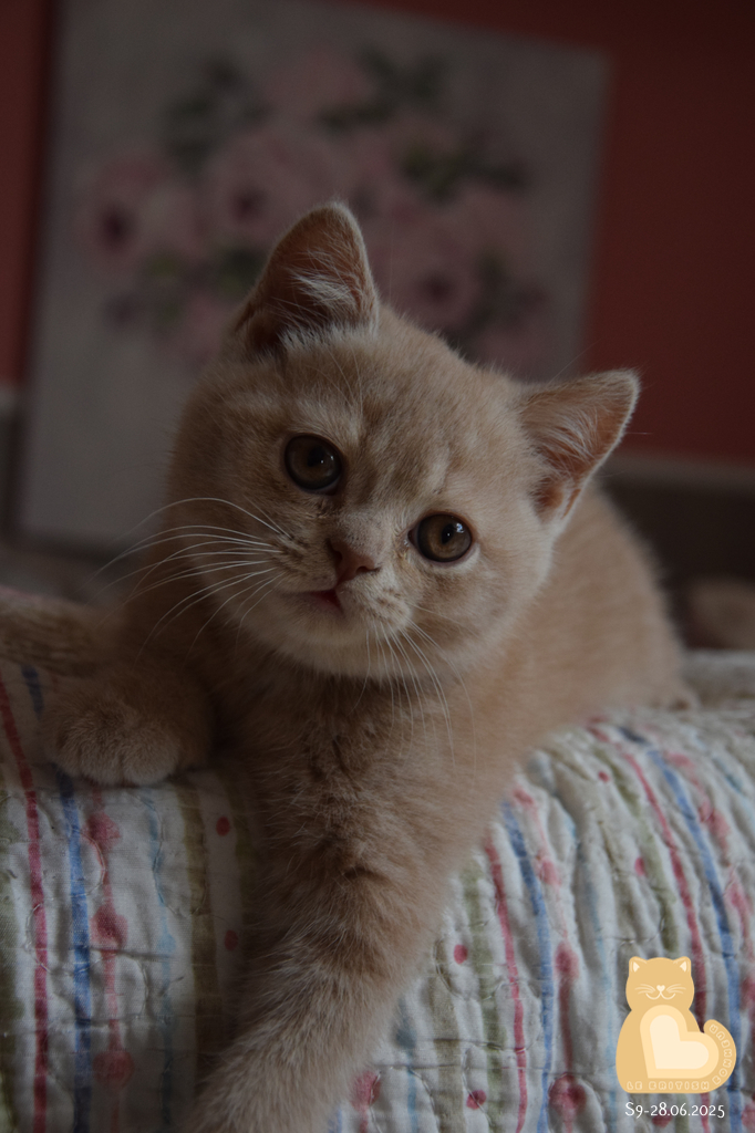 2 mois