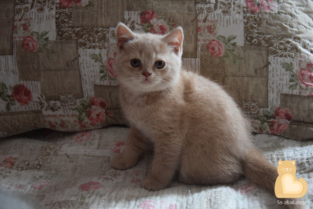 2 mois