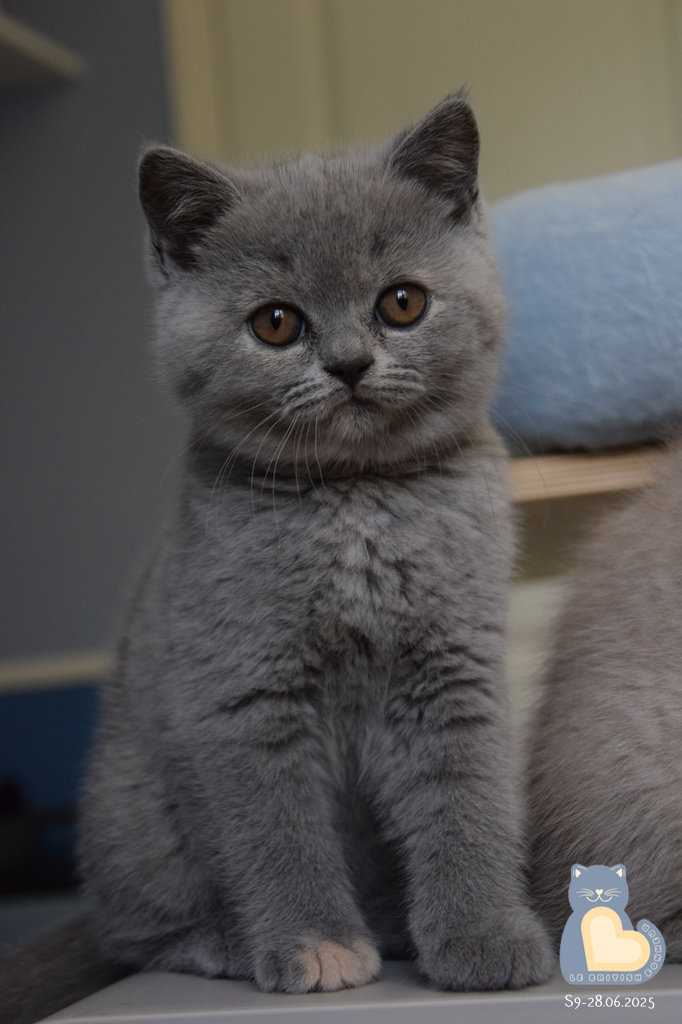 2 mois