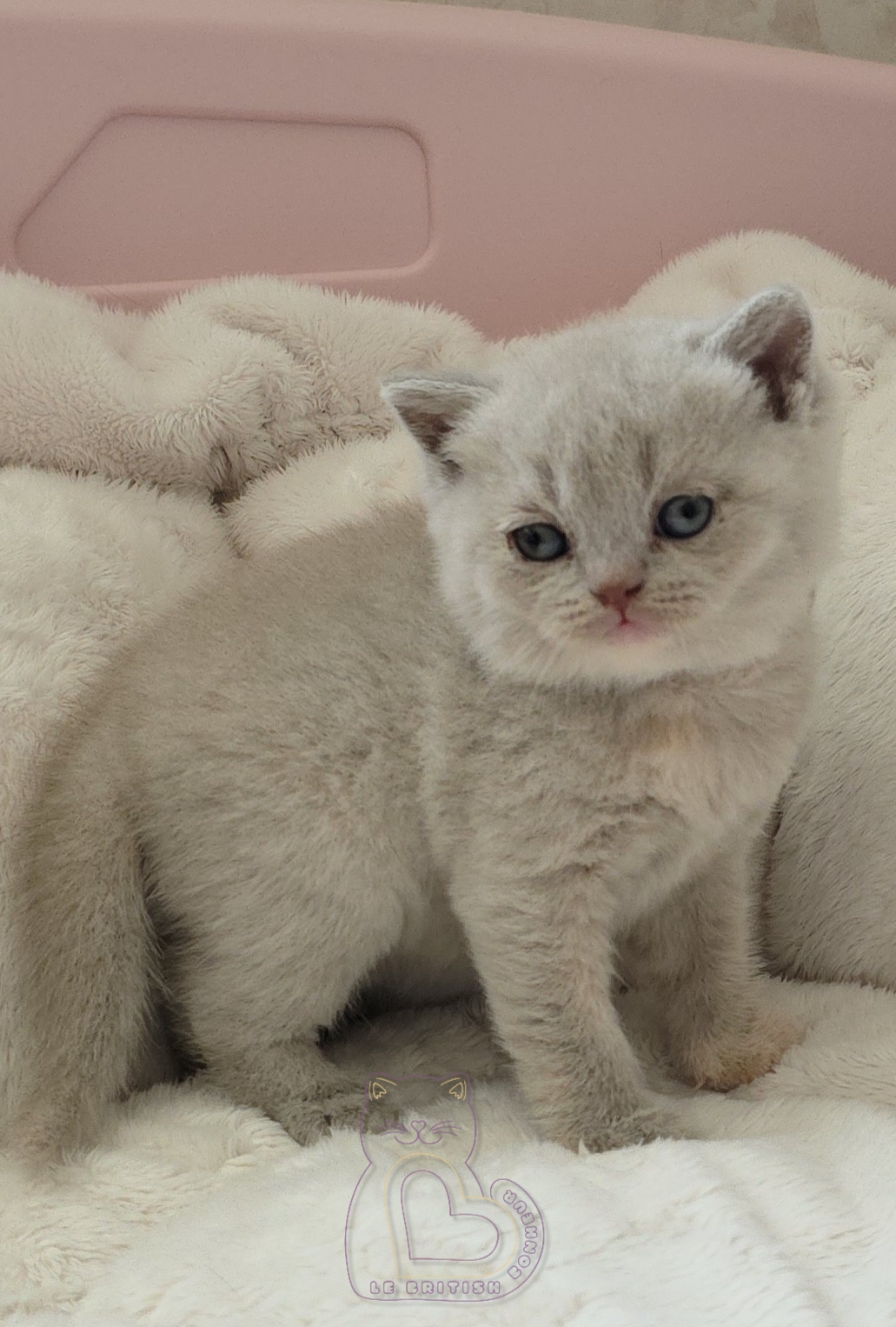 1 mois