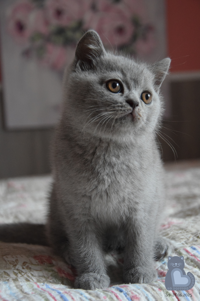 2 mois