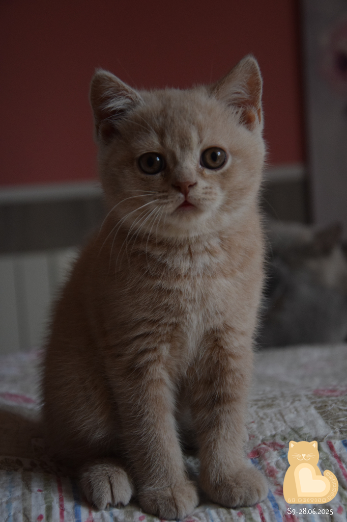 2 mois