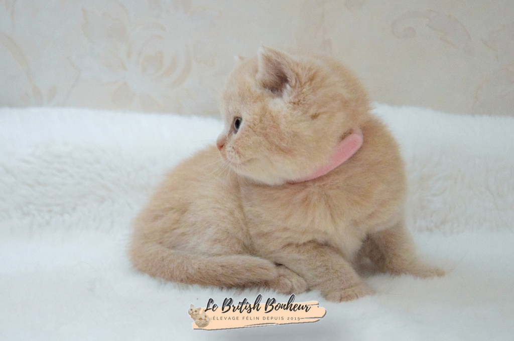 1 mois