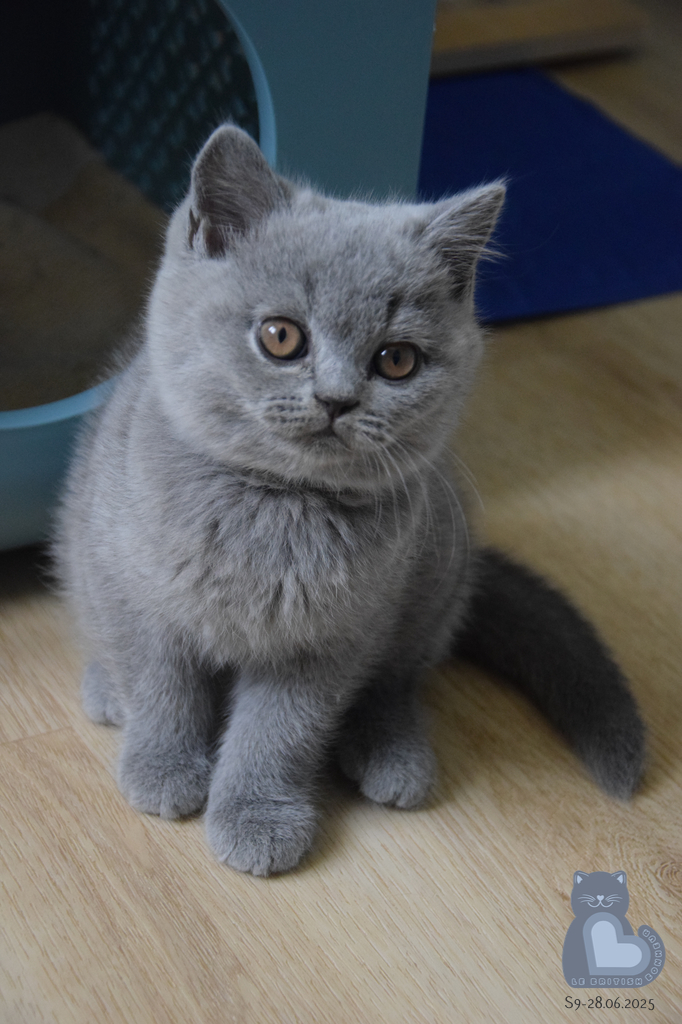 2 mois