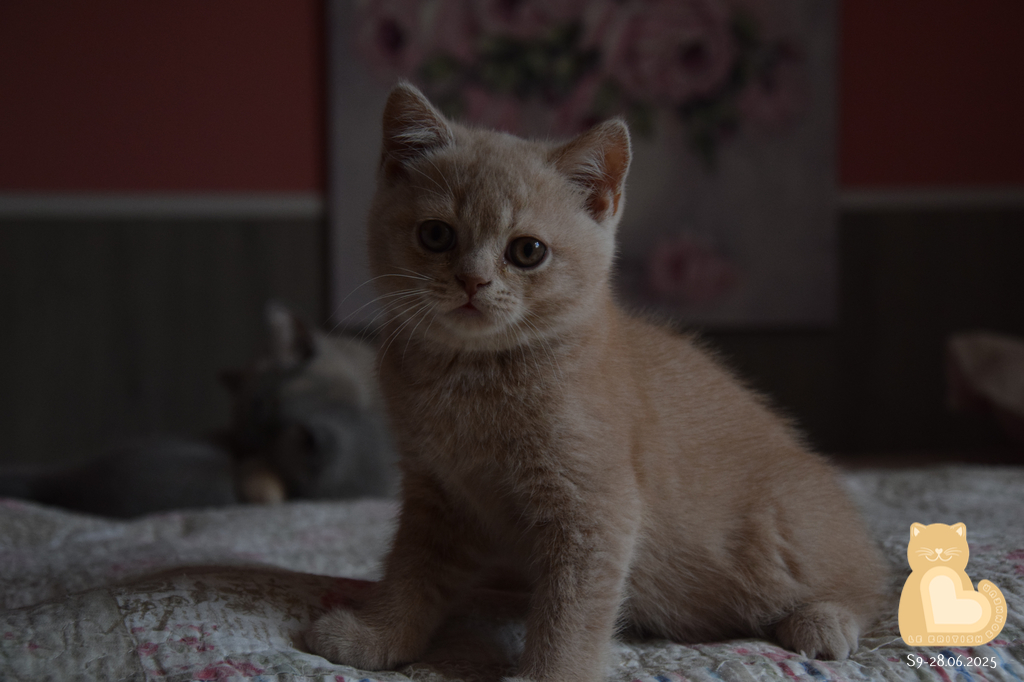 2 mois