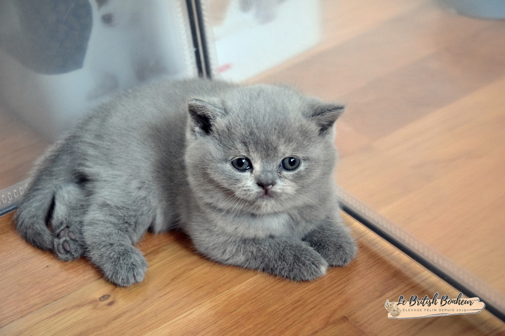 1 mois
