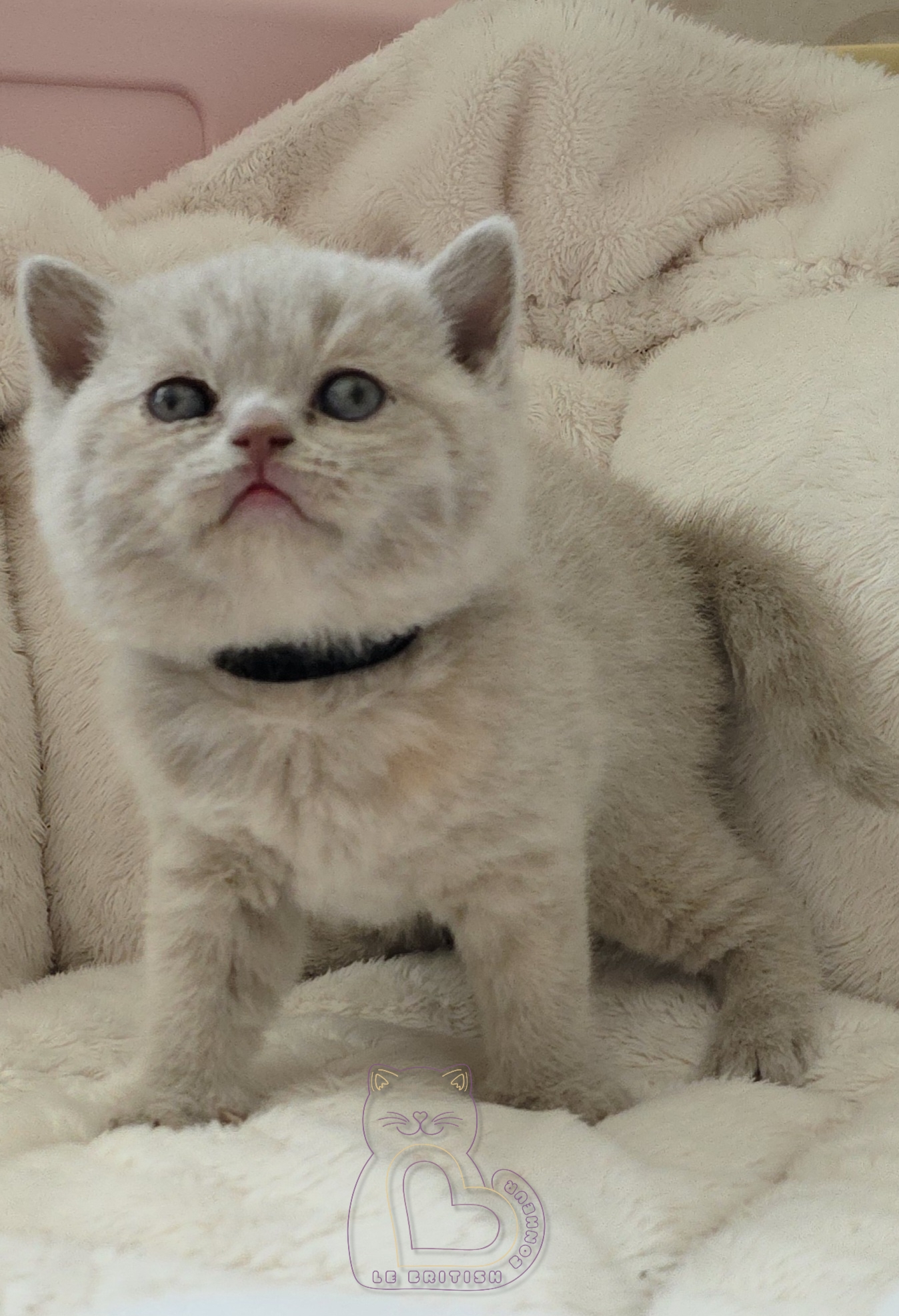 1 mois
