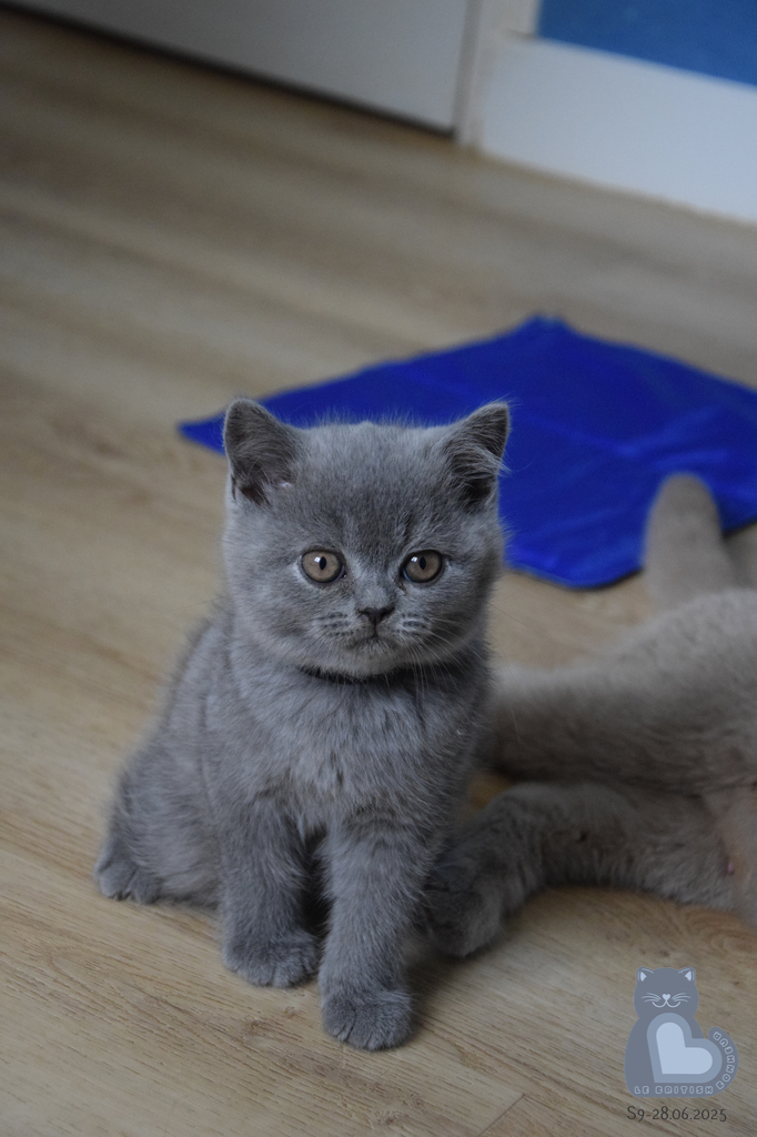 2 mois