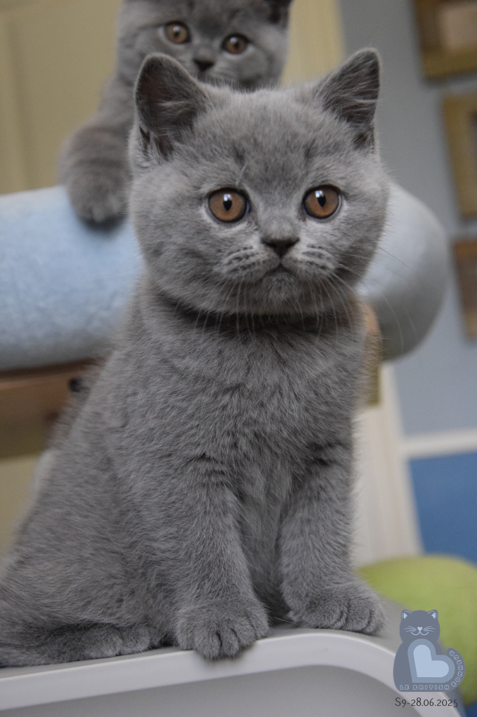 2 mois