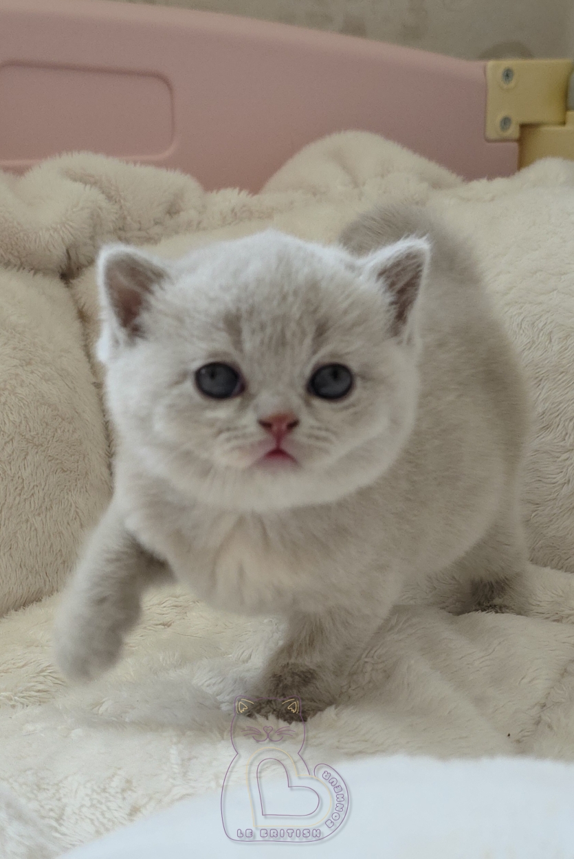 1 mois