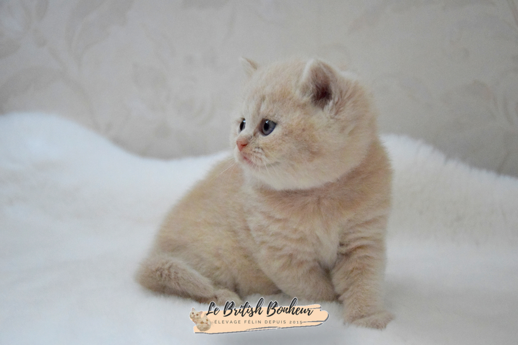 1 mois