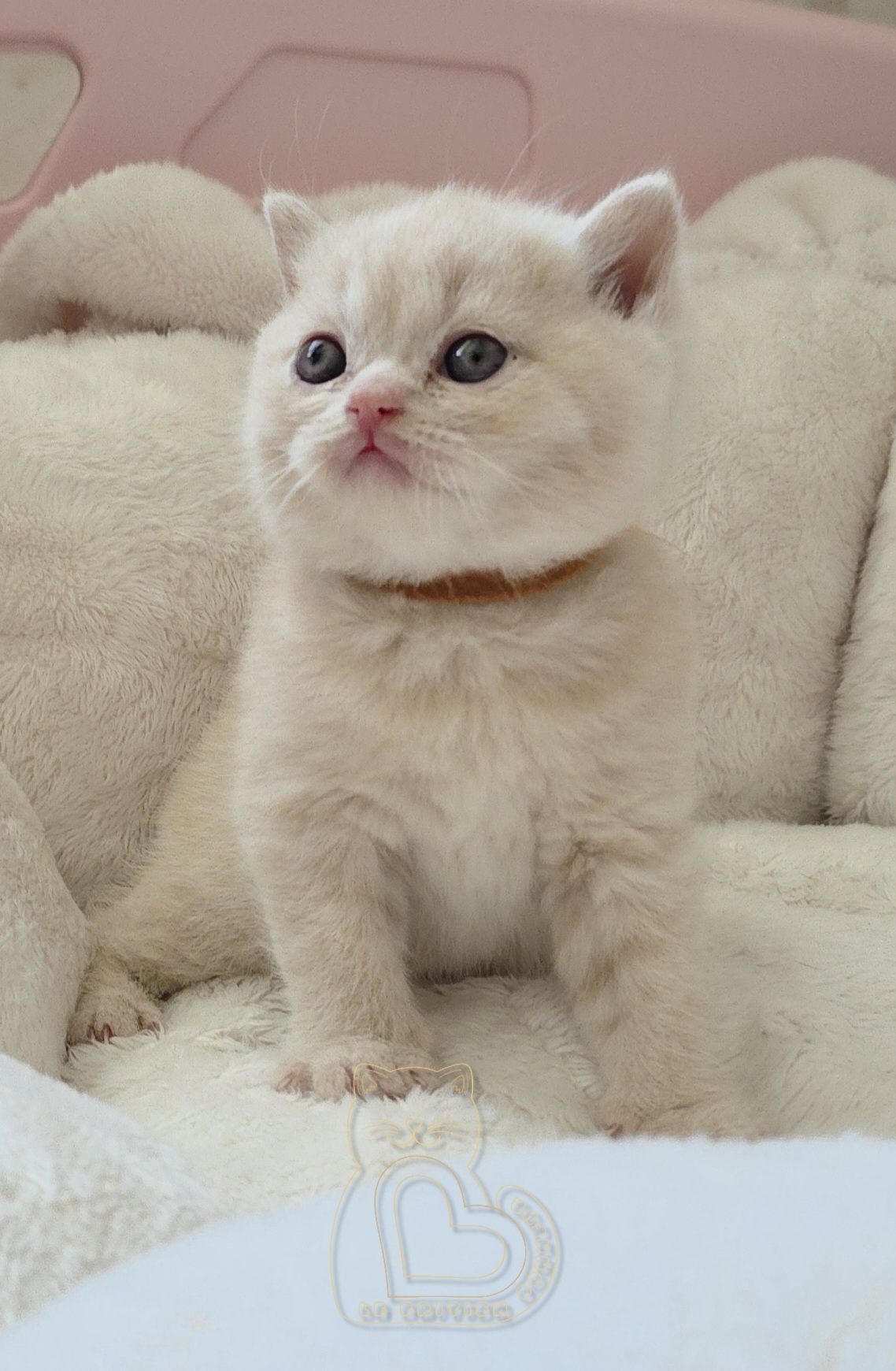 1 mois