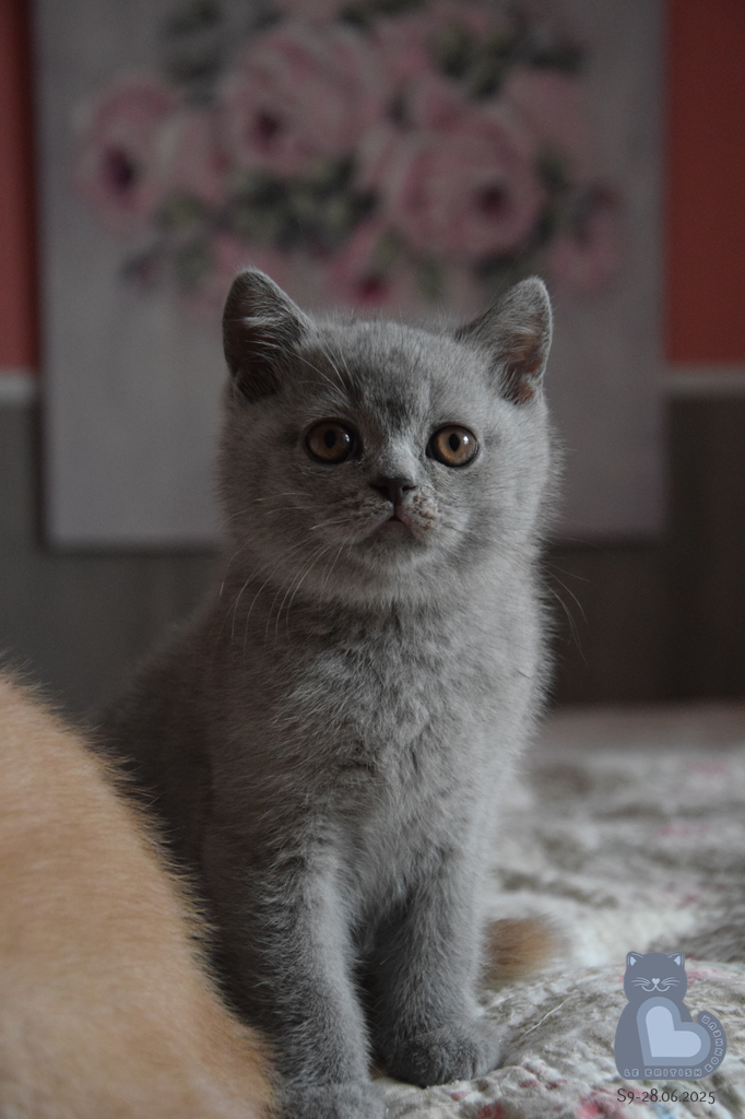 2 mois