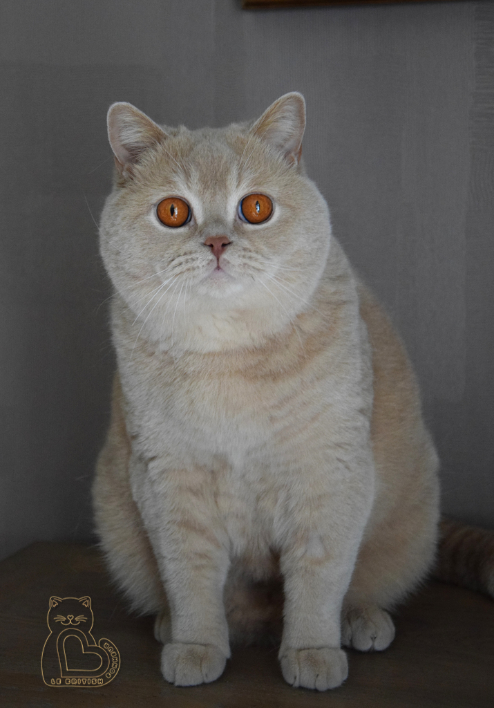 2 ans 8 mois