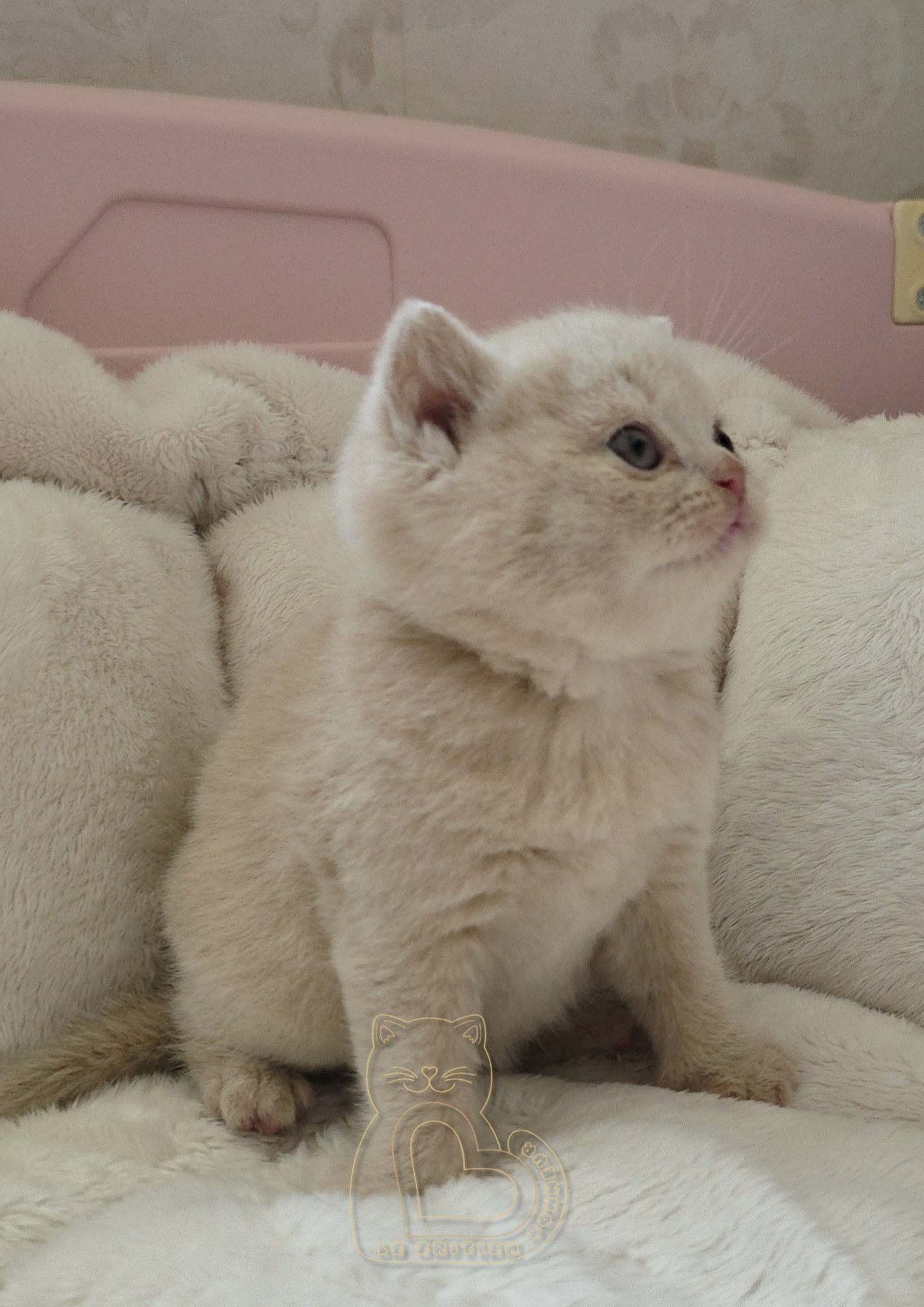 1 mois