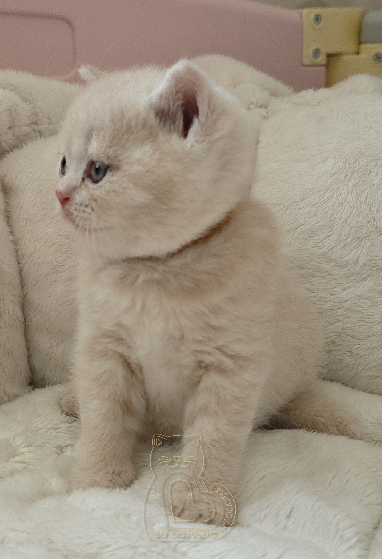 1 mois