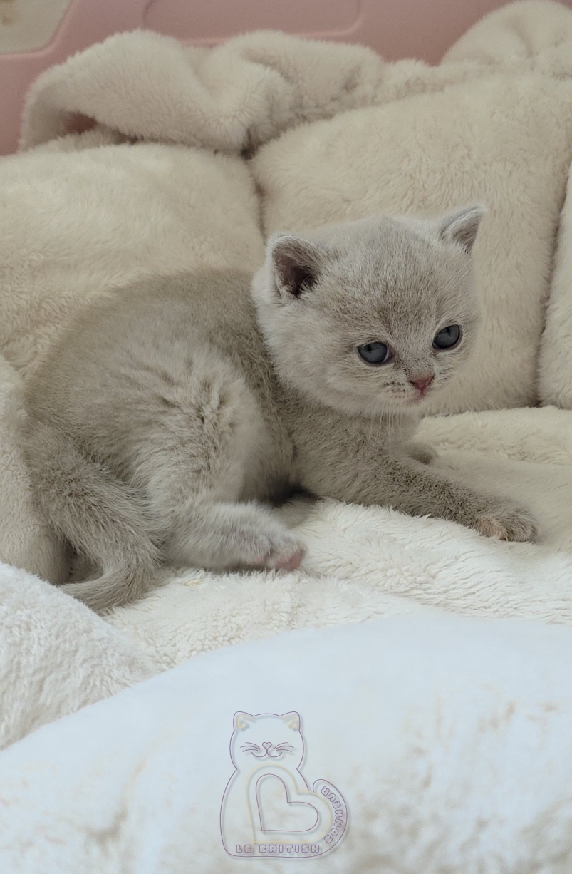 1 mois