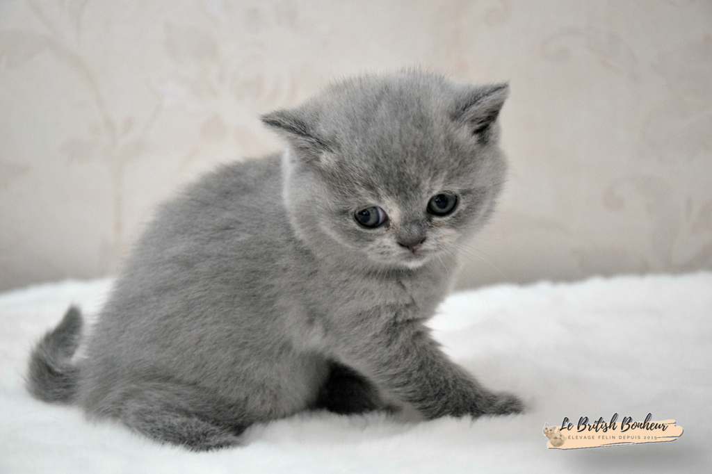 1 mois