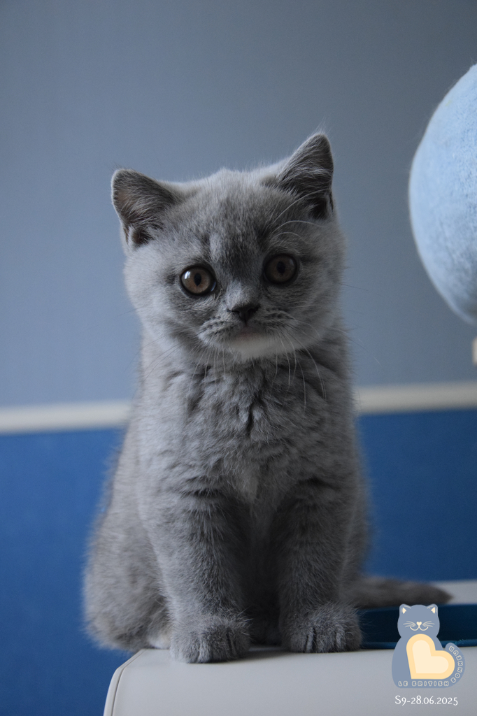 2 mois