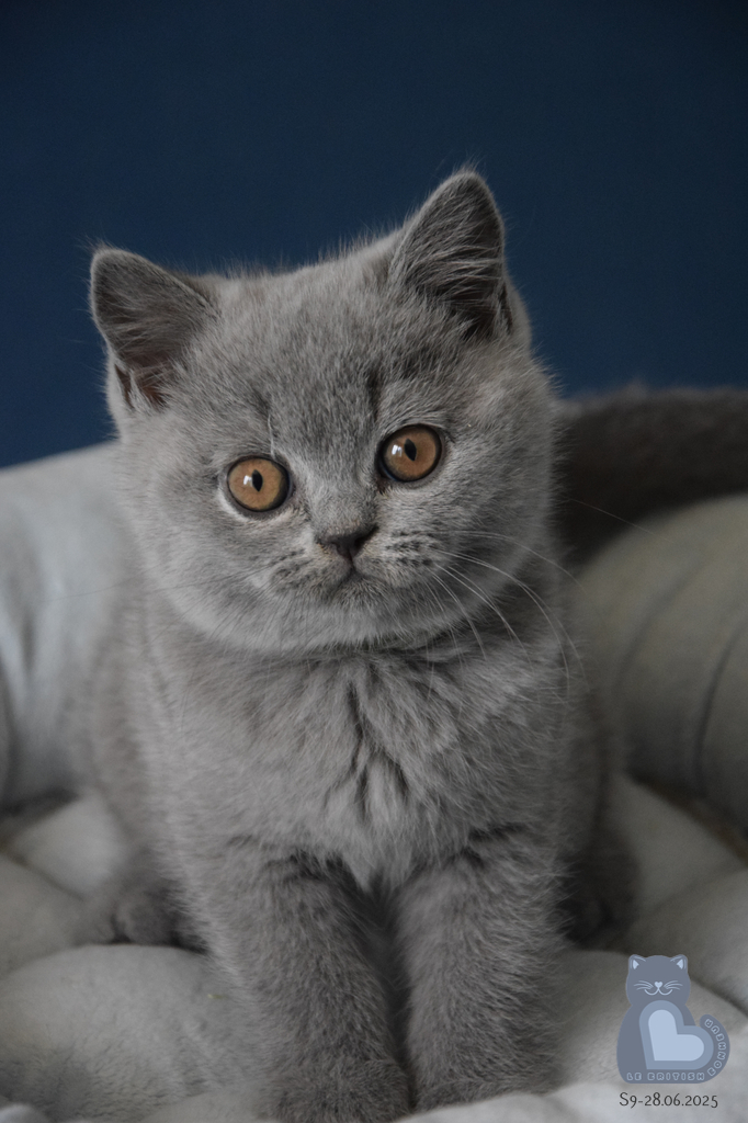 2 mois