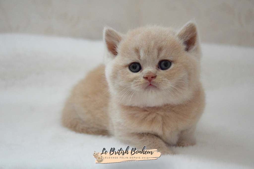 1 mois