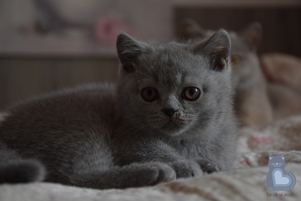 2 mois